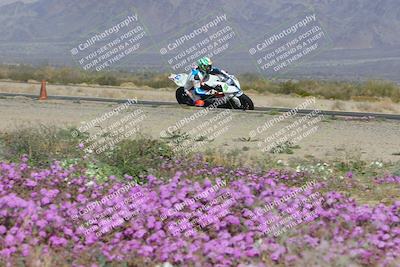 media/Feb-04-2023-SoCal Trackdays (Sat) [[8a776bf2c3]]/Turn 15 Inside Blooming (1050am)/